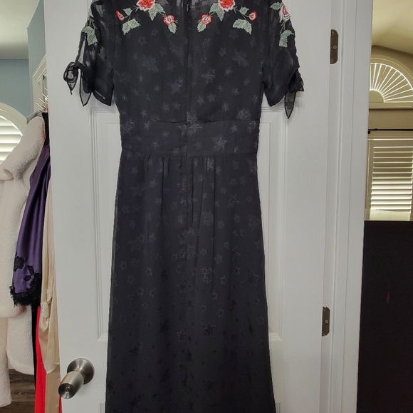 Super cute Topshop dress.  Black,  sheer  with rose embroidered embellishments. - Picture 8 of 10